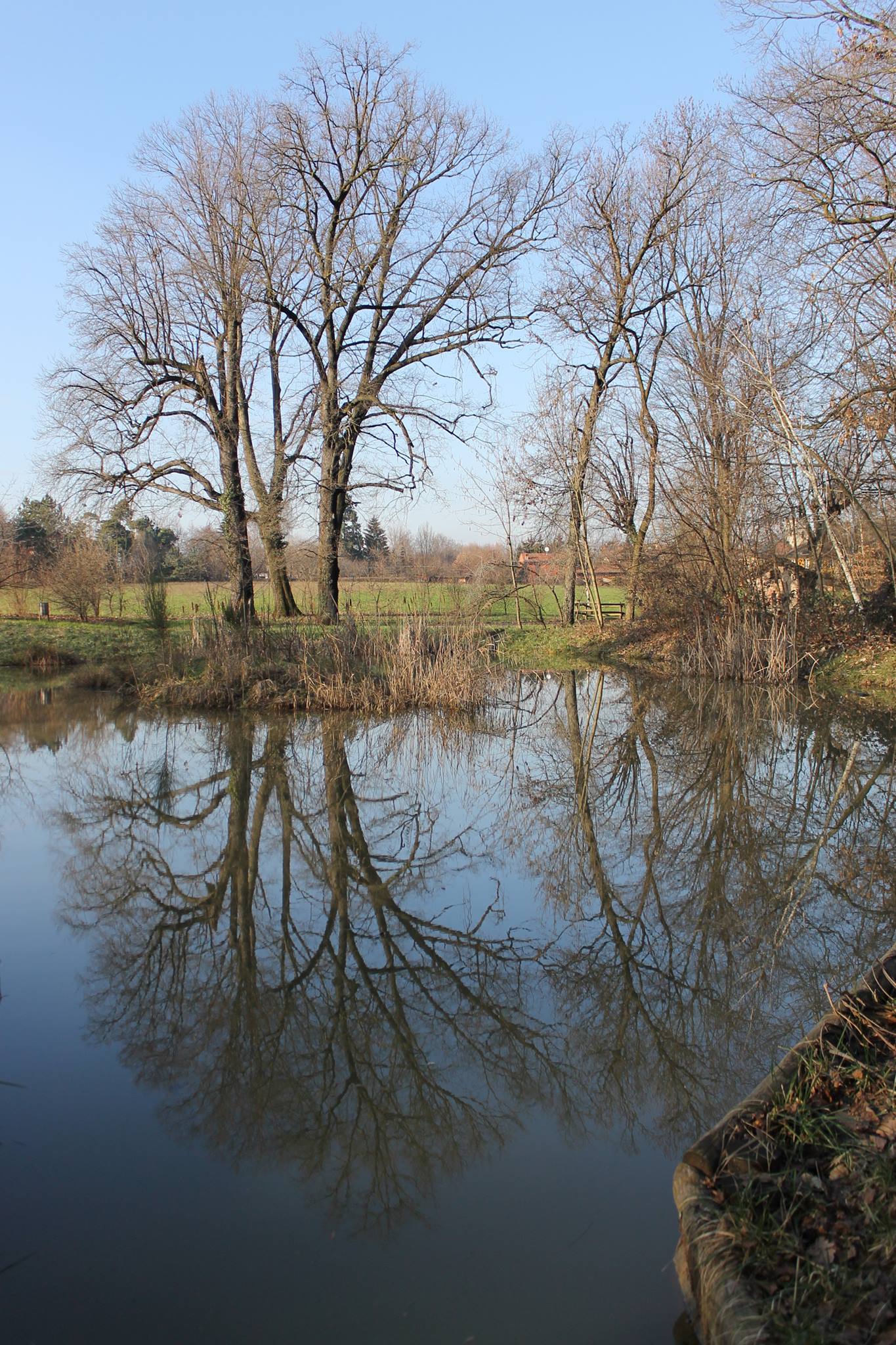 comune di seveso